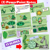 Photosynthesis Doodle Notes, PowerPoint, & Warm Ups