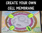 Cell Membrane Cut-Out Activity