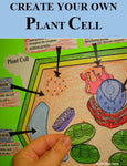 Plant Cell Organelle Cut and Paste