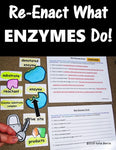 Re-Enact Enzymes
