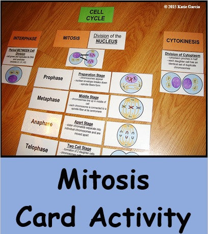 Mitosis Card Activity