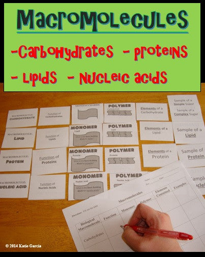 Macromolecules Table & Cards