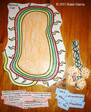 Prokaryote Cell Cut Out and Paste - Bacteria